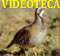 VIDEOTECA